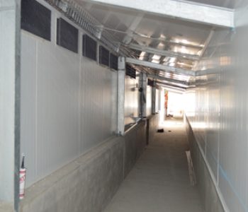 650-Sow-unit-at-Zandam-3