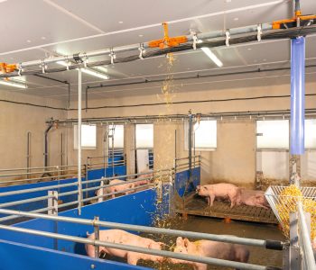 Außenklima stall-02