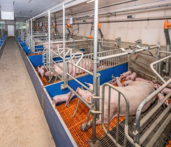 EasySliderII_ActiWel-10