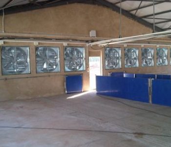 Electronic-Sow-Feeding-at-Riverside-3-400×284