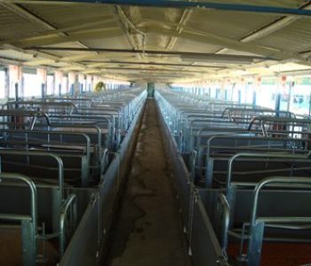 Farrowing-Upgrades-at-Kanhym-1-400×284