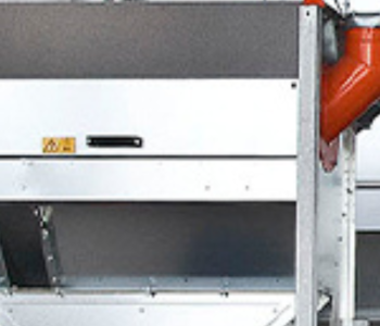 Step 1_ Cleaning Home Grown Crops