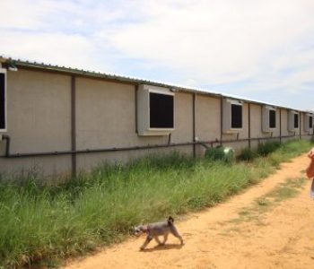Weaner-and-Farrowing-Houses-at-Willem-De-Chavonnes-Vrugt-1-400×284