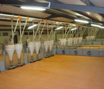 Weaner-and-Farrowing-Houses-at-Willem-De-Chavonnes-Vrugt-2-400×284