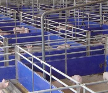 Wonway-Pig-farm-Housing-3-400×284